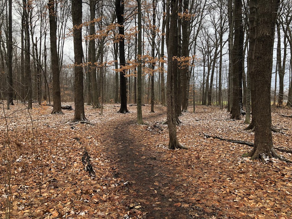 Trail Running